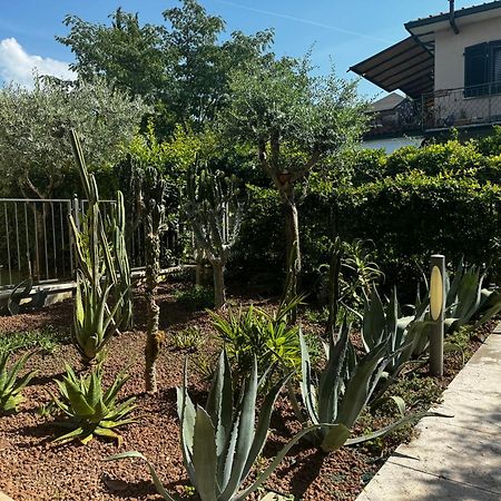 מנרבה דל גארדה Casa Vacanze "Il Porticciolo" מראה חיצוני תמונה